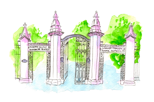 Trinity Bellwoods Gates